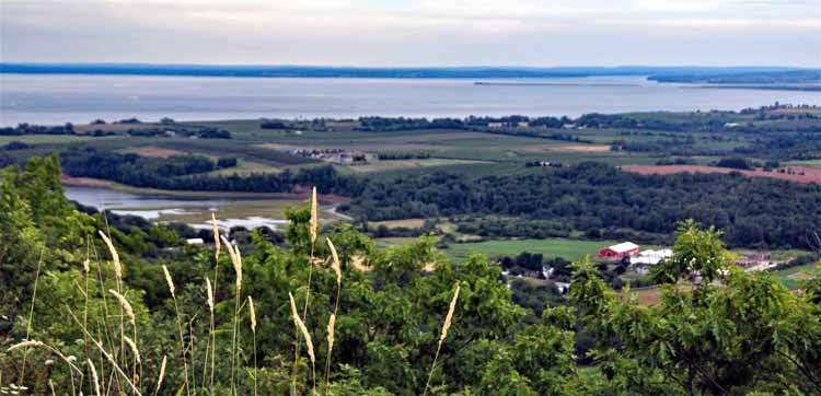 the lookoff